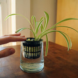 Rockwool Grow Starter Cubes with Net Cups Basket