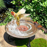 Copper Bird Bath Cleaning Disc for All-Season Outdoor Birdbaths Round Shape