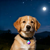 Pet Collar Clip Light LED for Dogs Cats Night Outdoor Walks