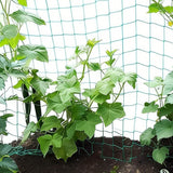 Garden Plant Climbing Net Vine Trellis Support