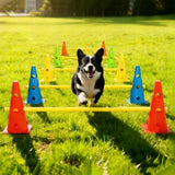 Dog Agility Training Set 10 Cones 5 Poles Adjustable Hurdle