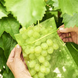 50PCS Fruit Protection Bags Drawstring Mesh Covers