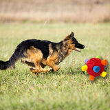 Dog Snuffle Ball Slow Feeder Puzzle Toy for Treats and Snacks Red