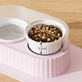 Ceramic Double Bowl Pet Feeding Set with Elevated Stand and Non-Slip Mat Pink