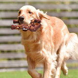 Indestructible Nylon Dog Chew Toy for Aggressive Chewers