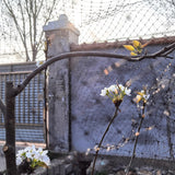 Bird Netting Mesh Cover for Fruit Trees Ponds & Agricultural Use