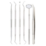 Professional Dental Tool Kit 6 Piece Stainless Steel Oral Care Set Silver