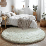 Round Plush Area Rug Soft Fluffy Floor Mat with Dotted Backing for Bedroom Living Room Sofa Area Home Decor White