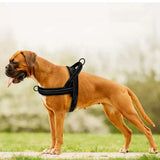 Breathable Mesh Padded Dog Harness – No-Pull Adjustable Pet Vest Black