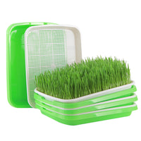 5Pcs Set Seed Sprouting Trays with Drain Holes Microgreens Growing Container Seed Germination Propagation Trays