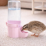 Quail Chick Waterer with Anti-Drowning Shallow Tray for Cage with Anti Drowning Tray Pink