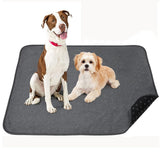 Coral Fleece Washable Dog Mat – Non-Slip Reusable Pee Pad for Pets