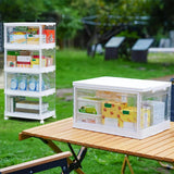4 Tier Clear Storage Bins with Lids for Bedroom Living Room