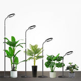 4-Light Mode Grow Light for Indoor Plants Full Spectrum Floor Plant Light with 72 LEDs Black