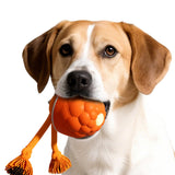 Interactive Touch-Activated Dog Toy Ball with Bouncing Jumping and Rope Orange