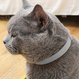 4 Pack Adjustable Pet Collar 63cm Water-Resistant Tick Prevention for Small Dogs and Cats