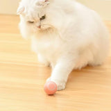 USB Rechargeable Interactive Cat Toy Ball – Smart Rolling Design for Indoor Cats Pink