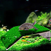 Turtle Basking Platform Simulation Grass Turtle Ramp for Fish Tank Aquarium