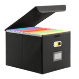 Collapsible File Organizer Box with Lid Folder Storage for Office Documents Black
