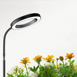 4-Light Mode Grow Light for Indoor Plants Full Spectrum Floor Plant Light with 72 LEDs Black