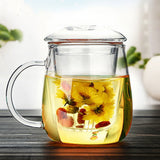 Glass Tea Cup with Infuser and Lid for Loose Leaf Tea Blooming Tea Large