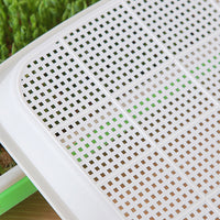 5Pcs Set Seed Sprouting Trays with Drain Holes Microgreens Growing Container Seed Germination Propagation Trays