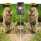 1080P Wildlife Trail Camera Night Vision Security Cam