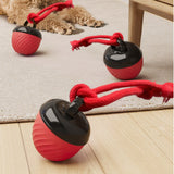 Squeaky Rolling Ball Dog Toy – Interactive Motion-Activated Chew Toy for Dogs Red