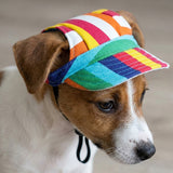 Pet Baseball Cap with Ear Holes Adjustable Strap for Dogs Cats Rainbow