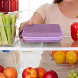 Vial Storage Cases Compatible with 3ml 10ml 30ml Bottles for Fridge Purple