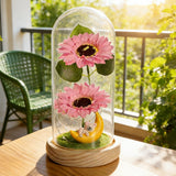 Sunflower LED Night Light with Glass Dome Home Decor Gift Pink