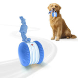 Interactive Pet Rolling Ball Toy Rechargeable Automatic for Cats and Dogs Blue