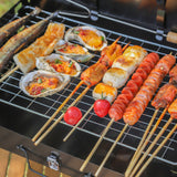 Portable Charcoal BBQ Grill Folding Barbecue Camping Grill