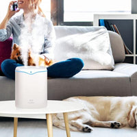 2L USB Double Spray Humidifiers with Colorful Light Cool Mist Ultrasonic Steam Air Humidifier White