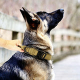 Heavy Duty Tactical Dog Collar Military Pet Collar With Metal Buckle Adjustable Khaki