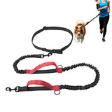 2 in 1 Double Leash for Dogs No Tangle Bungee Dog Leash Reflective Comfortable Padded Handles Red