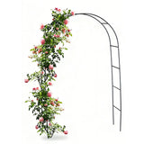 Powder Coated Garden Arch Support for Climbing Plants Vines