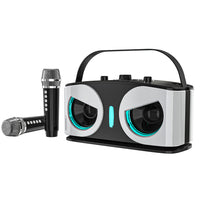 Wireless Bluetooth Karaoke Speaker with 2 Microphone Home KTV Set White