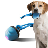 Squeaky Rolling Ball Dog Toy – Interactive Motion-Activated Chew Toy for Dogs Blue