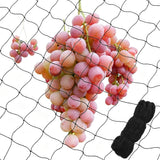 Nylon Bird Netting 22x5m for Garden Fruit Tree Crop Protection