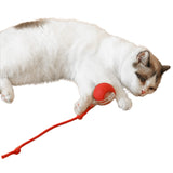 Interactive Cat Toy Ball Fast Rolling Motion Activate Cat Toy Red