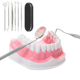 Professional Dental Tool Kit 6 Piece Stainless Steel Oral Care Set Black