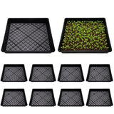 10 PCS Square Fine Hole Seedling Trays for Propagation and Hydroponics