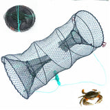 Fishing Bait Cage Trap Collapsible with Pull Rope for Pond Lake