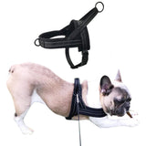 Breathable Mesh Padded Dog Harness – No-Pull Adjustable Pet Vest Black