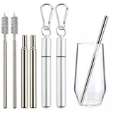 2 PCS Collapsible Stainless Steel Travel Straws with Keychain Cases Silver