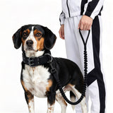 Padded Nylon Dog Collar Leash Set Adjustable for Large Dogs Black