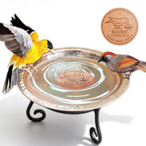 Copper Bird Bath Cleaning Disc for All-Season Outdoor Birdbaths Round Shape