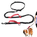2 in 1 Double Leash for Dogs No Tangle Bungee Dog Leash Reflective Comfortable Padded Handles Red