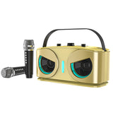 Wireless Bluetooth Karaoke Speaker with 2 Microphone Home KTV Set Gold